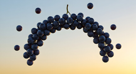 Luscious Grape Bunch Suspended Midair Against Warm Sky Gradient