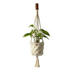 Hanging macrame plant holder, isolated on white background