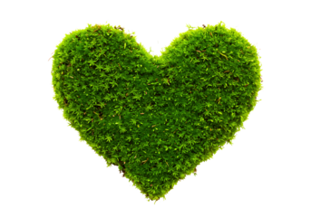 green grass heart