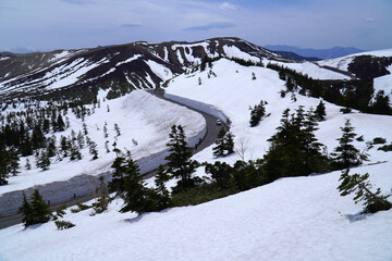 志賀草津高原ルートの雪の回廊