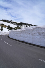 志賀草津高原ルートの雪の回廊