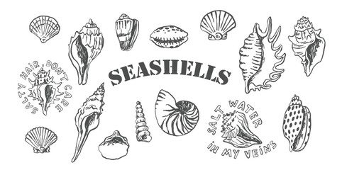 Seashell Line Art Collection, Hand Drawn Summer Sea Elements