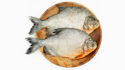 Roopchand fish or Red pomfret Fish isolated on white background.
