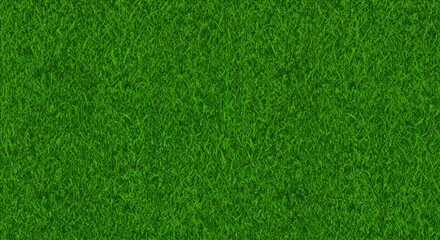 Fototapeta premium Green Grass Texture Background for Spring and Outdoor Designs