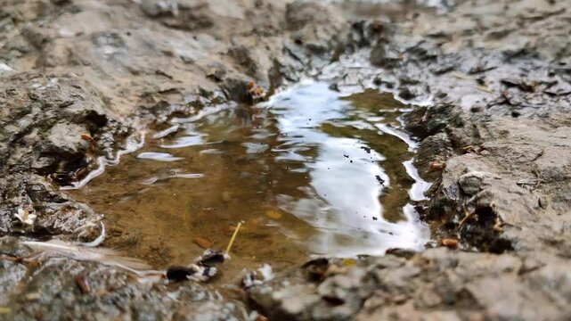 Tracking close-up over water-filled rock basins after rain in a natural setting