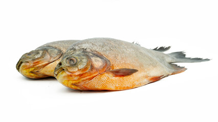 Roopchand fish or Red pomfret Fish isolated on white background.