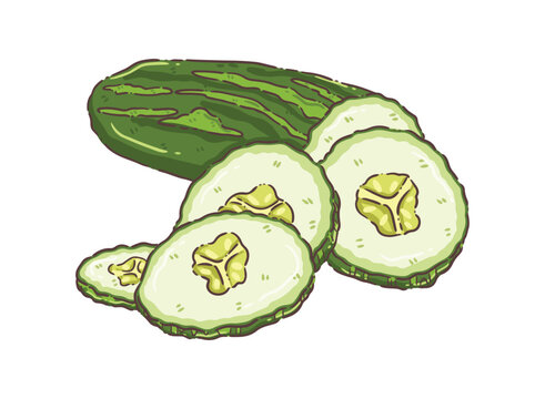 green cucumber slices, fresh food, white background clip art preview