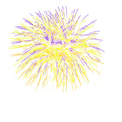 Fototapeta premium Fireworks 