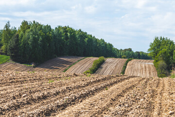 Landscape in the countryside on a sunny May day.