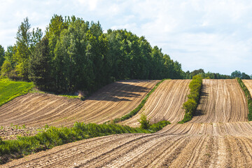 Landscape in the countryside on a sunny May day.