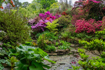 A spring garden in full bloom