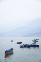 Many traditional boats are docking at Phewa Lake or Phewa Tal in the morning.