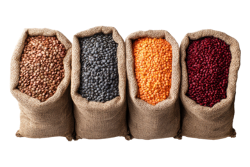 Set of six burlap sacks with assorted colorful legumes, isolated on transparent background