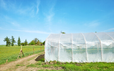 Polytunnel on an organic farm against the blue sky.