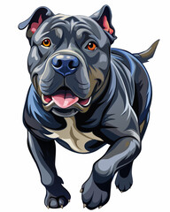 english bulldog portrait