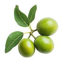 Fresh Kakadu Plum Fruit Isolated on White Background