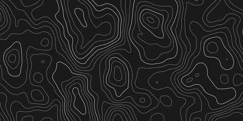 Abstract modern white and black topographic contour map wavy line, The concept of a conditional geography scheme and Use for template, wallpaper, web vector illustration.  