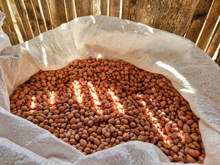 Raw peanuts in a burlap sack, with sunlight streaming through bamboo cracks.