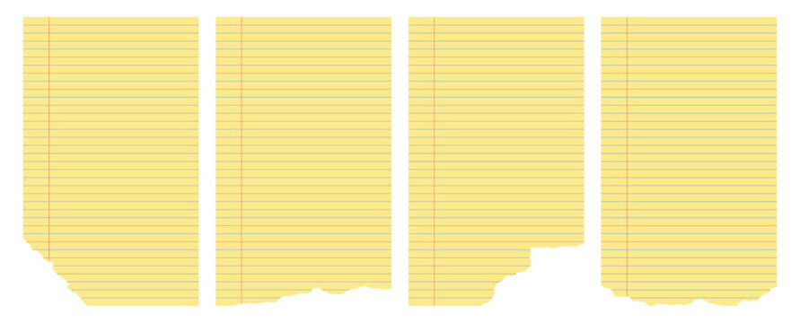 Set of ruled legal pad pages with ripped edges. Yellow notepad paper with blue lines and red margin.