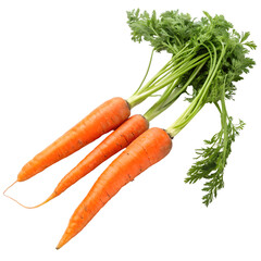 Fresh Carrots isolated on transparent background