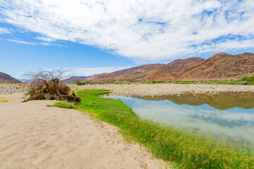 Arid landscape in the Richtersveld National Park