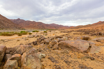 Obraz premium Arid landscape in the Richtersveld National Park