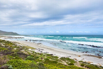 Coastal mountain landscape with fynbos flora in Cape Town.