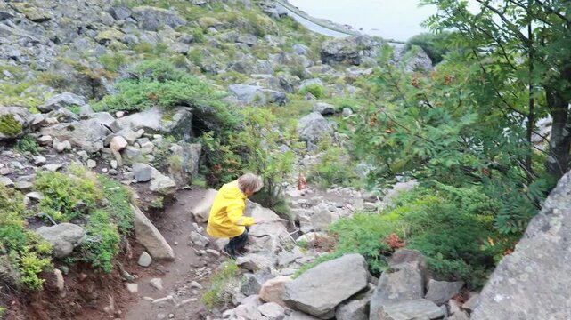 Children and adults, happy family with dog, climbing Festvagtinden via Heiavatnet trail in Norway