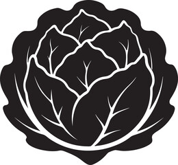 cabbage vegetable silhouette, black and white silhouette, vector and illustration