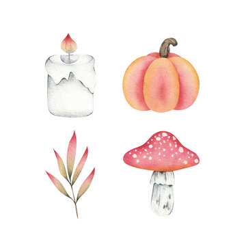 set of watercolor illustrations of autumn, mushrooms, and pumpkins