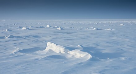 Vast snowy landscape with crisp blue skies, depicting polar expanse panorama