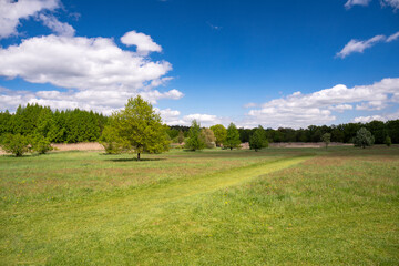 Forest Arboretum in Stradomia Dolna, Poland.