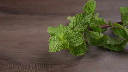 Ginger root vegetables and fresh mint leaves Concept health diet.  © Raksha Shelare