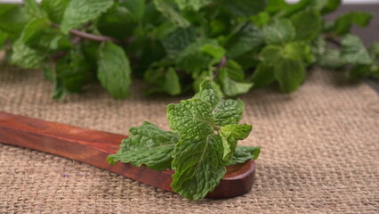 Ginger root vegetables and fresh mint leaves Concept health diet.  © Raksha Shelare