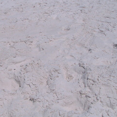 Abstract sand texture background design. Seamless vector art. 