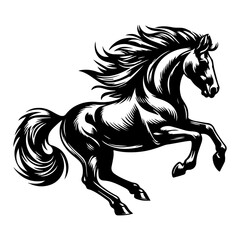 Majestic Stallion in Motion