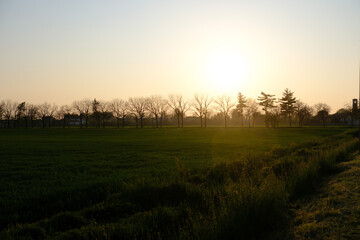Country landscape along the Canal of Martesana, Milan, Italy, at sunset