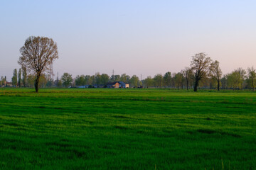 Obraz premium Country landscape along the Canal of Martesana, Milan, Italy, at sunset