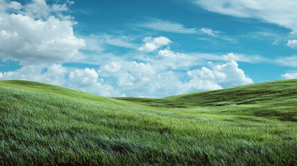 Obraz premium Serene grassy landscape with rolling hills under bright blue sky and fluffy white clouds