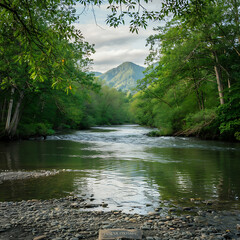 Fototapeta premium Tranquil river winding through lush green forest.