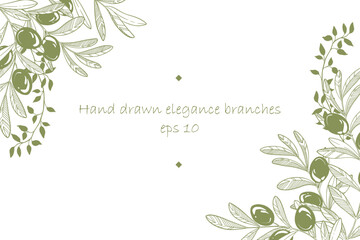 Frame of hand drawn vector olive branches.