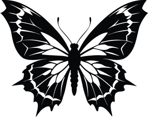 Butterfly silhouette isolated on white background