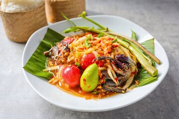 Sticky rice, papaya salad, Som Tam , som tum, thai food, isan food,Thai isan kitchen , som tum thai in white plate