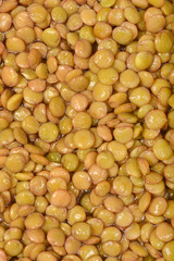 A close-up shows a dense pile of rehydrated raw lentils with a smooth, slightly shiny texture