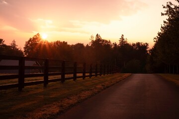 Obraz premium sunset in the park