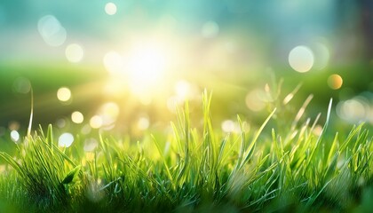 Obraz premium natural grass lawb with blurred bokeh and sun rays easter spring background