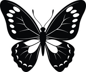 Butterfly vector illustration isolated on white background