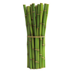 Obraz premium A bundle of fresh green bamboo sticks tied together