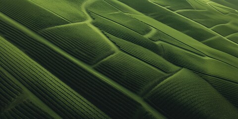 Rolling green fields creating stunning patterns in agricultural landscape