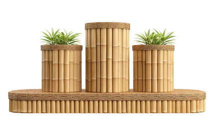 Bamboo Planter Set Modern Tropical Decor isolated on transparent background